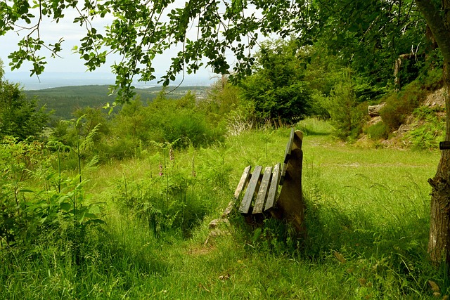 佩杜拉：米兰尚未敲定迈尼昂续约，后者仍然可能在赛季末离队